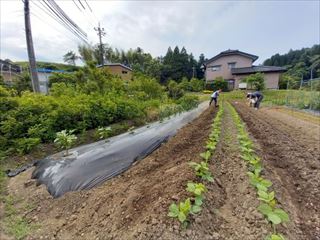総会風景