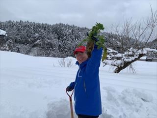 野菜栽培